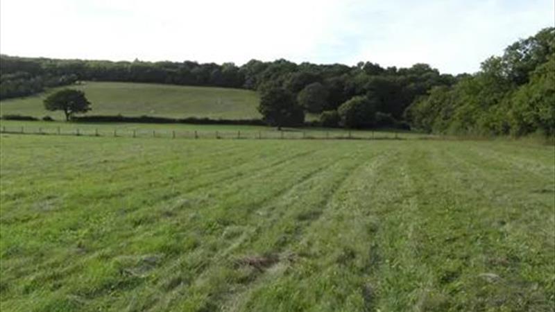 Attractive Land Opportunity 