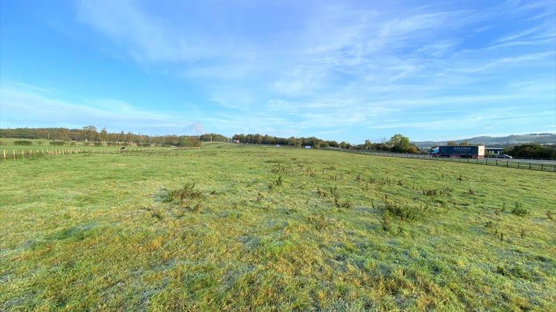 Agriculture Land For Sale 