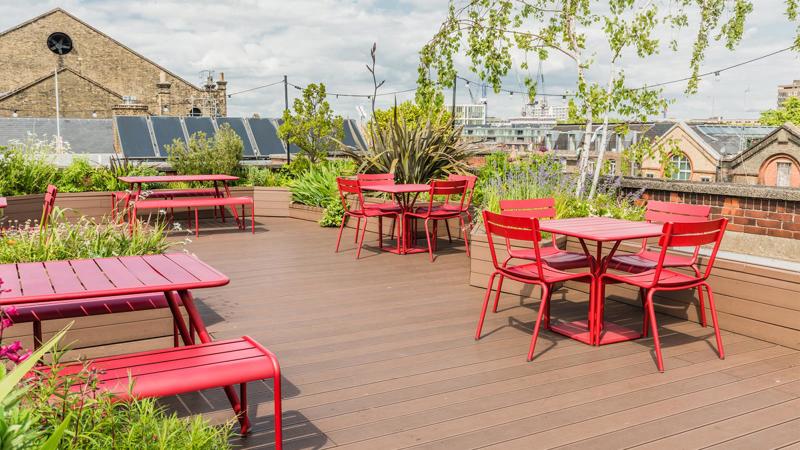 Roof terrace / Garden