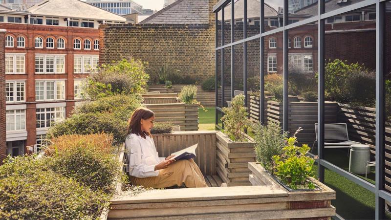 Roof terrace / Garden