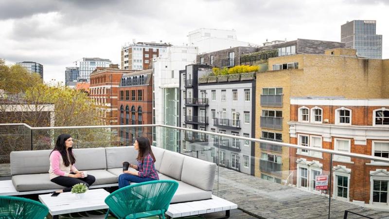 Roof terrace / Garden