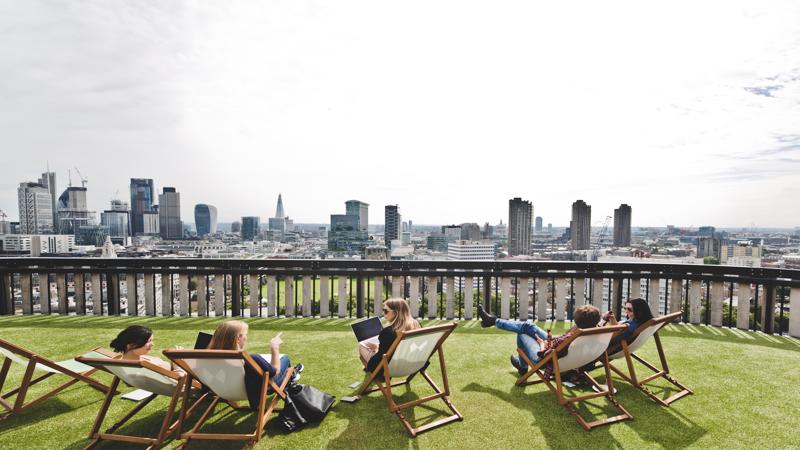 Roof terrace / Garden