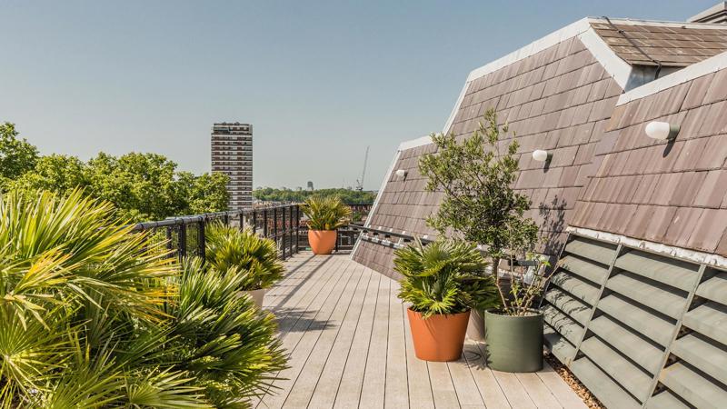 Roof terrace / Garden