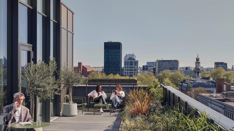 Roof terrace / Garden