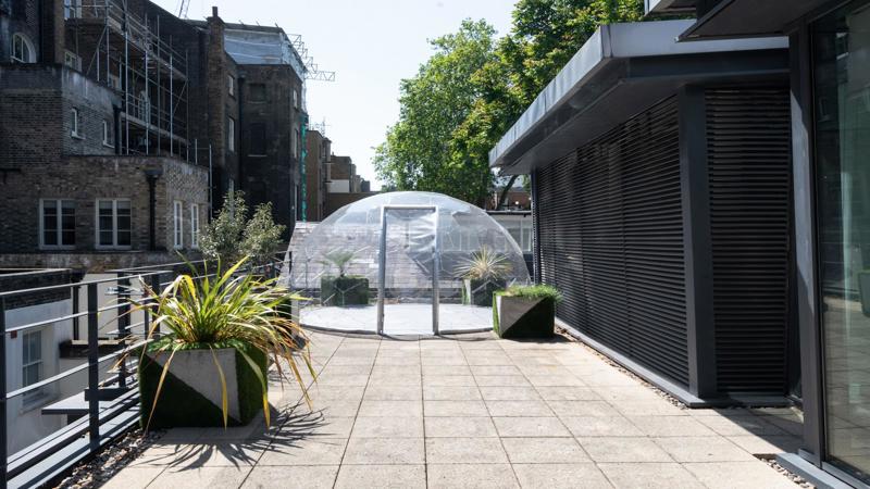 Roof terrace / Garden